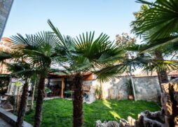 Vila Alexandra Studios - Asprovalta - Grčka apartmani